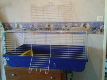 A vendre : cage & accessoires + boite de transport (68) Medium