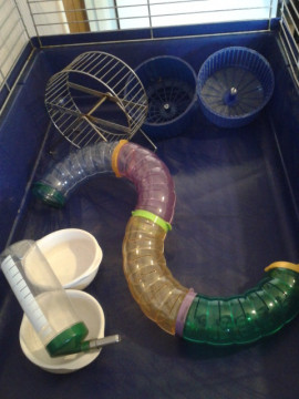 A vendre : cage & accessoires + boite de transport (68) Medium